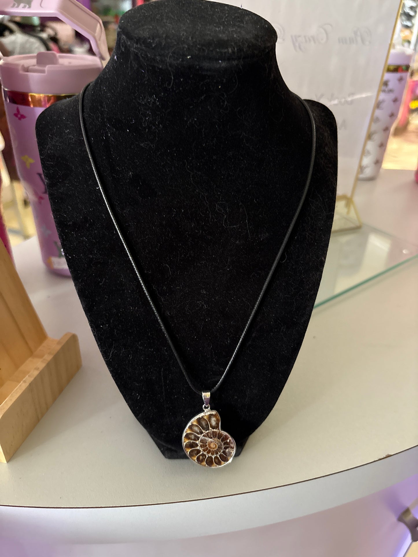 Shell Necklace SN01599