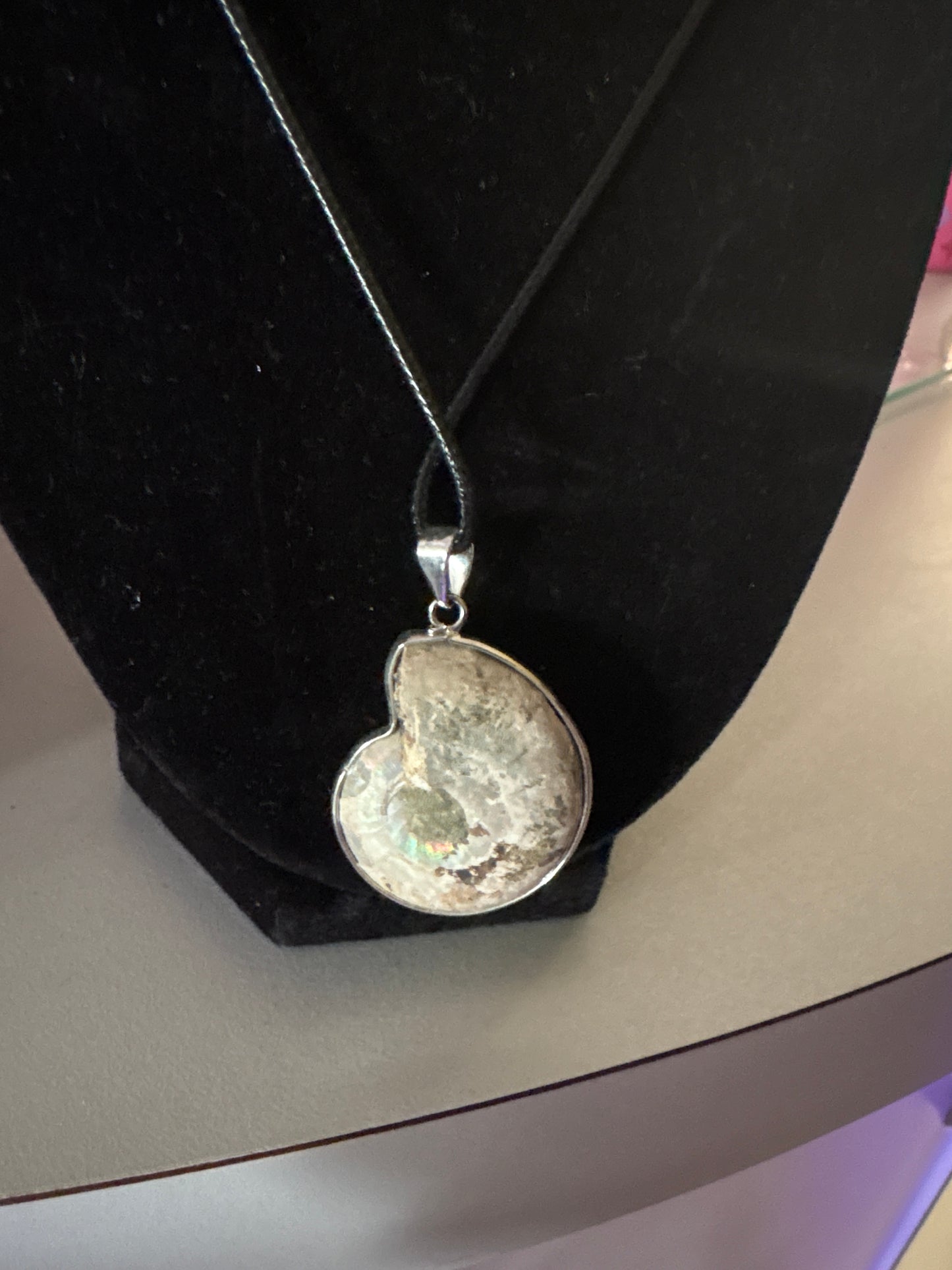 Shell Necklace SN01599