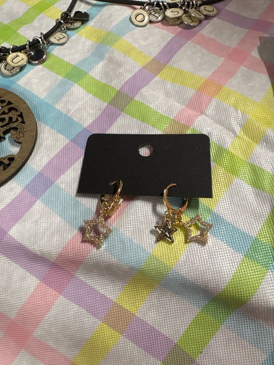 Earrings ER0599
